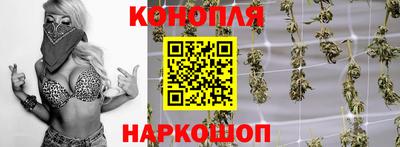 Альфа ПВП Кунгур