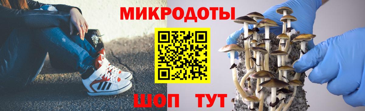 Кимры  Галлюциногенные грибы Cubensis  Псилоцибиновые грибы Magic Shrooms  Вход с VPN 