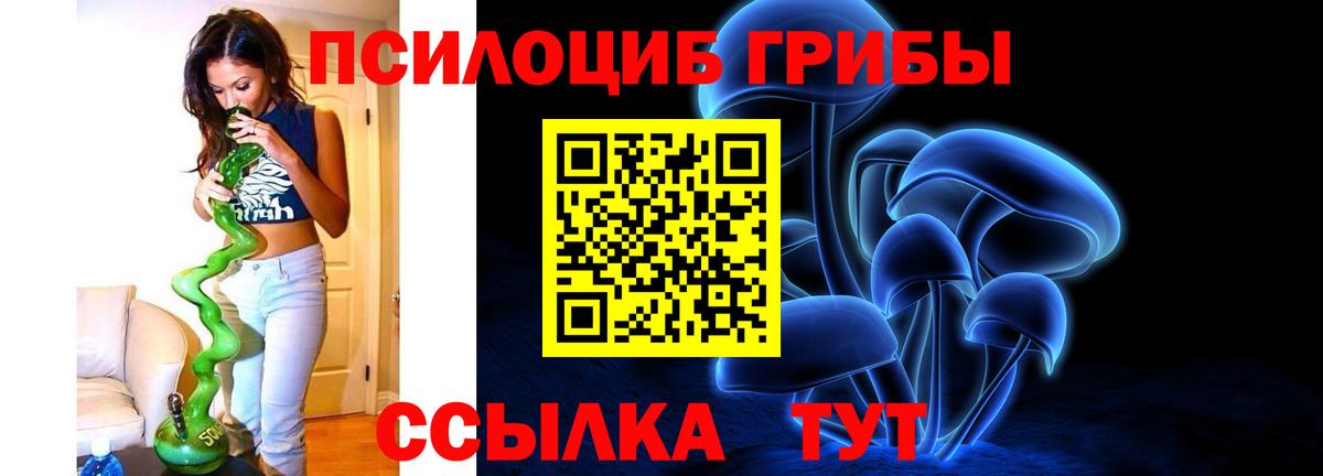 Псилоцибиновые грибы Psilocybe Кимры